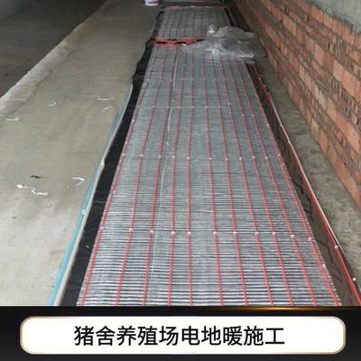 暖燁養(yǎng)殖場(chǎng)發(fā)熱線 石墨烯電地暖助力養(yǎng)蛇養(yǎng)豬高效越冬